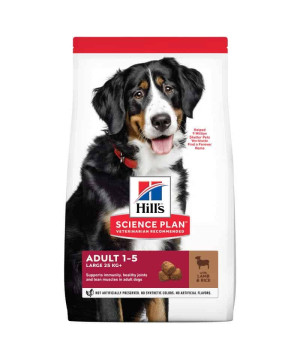 chien Adult Large Breed Agneau & Riz 12kg - Hill de Hill's - croquette pour chien et chat dans Hill's pour chiens