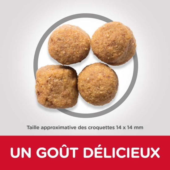 chien Adult Large Breed Agneau & Riz 12kg - Hill de Hill's - croquette pour chien et chat dans Hill's pour chiens