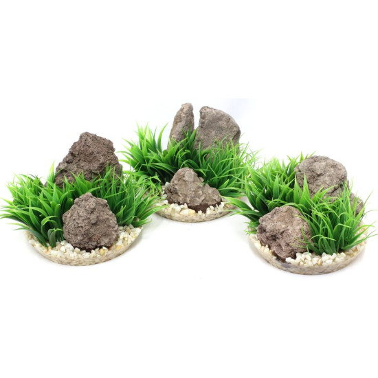 ARIZONA PLANTE VIVARIUM de Agrobiothers - Produits pour animaux dans Plantes d'aquarium