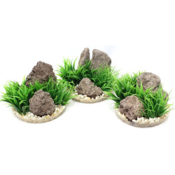 ARIZONA PLANTE VIVARIUM de Agrobiothers - Produits pour animaux dans Plantes d'aquarium