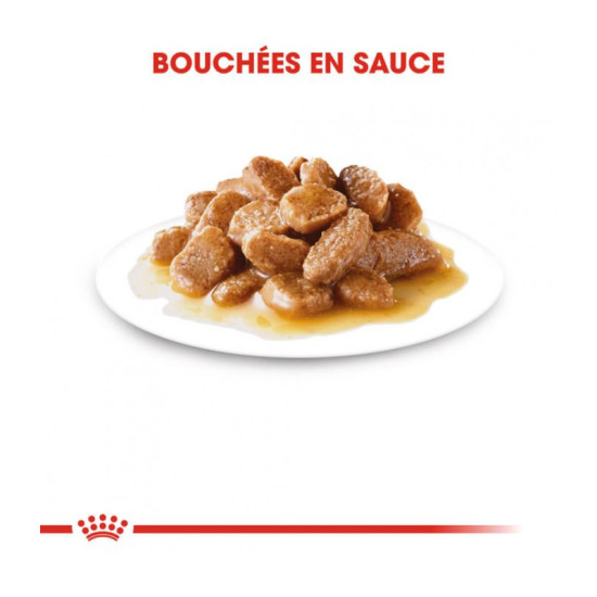Mini Adult 12X85G Royal Canin de Royal Canin - Croquette chien et chat dans Pâtée pour chien