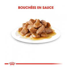 Mini Adult 12X85G Royal Canin de Royal Canin - Croquette chien et chat dans Pâtée pour chien