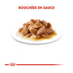 Mini Adult 12X85G Royal Canin de Royal Canin - Croquette chien et chat dans Pâtée pour chien