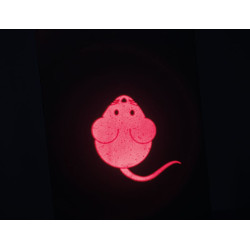 Pointeur laser Catch thelight souris USB 85cm de Trixie - Produit pour animaux dans Jouets pour chats