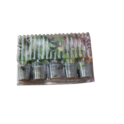COMBI PACK SPECIAL OFFER 5 POTS de Aquafleur - Plantes aquarium dans Plantes d'aquariums