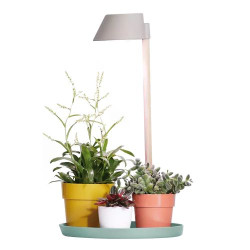 Plant Light Care Gris Glacier -Elho de Elho - Pot en plastique de qualité dans Cache-pot et pot déco