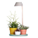Plant Light Care Gris Glacier -Elho de Elho - Pot en plastique de qualité dans Cache-pot et pot déco