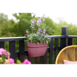 Vibia Campana Easy Hanger Medium Miel -Elho de Elho - Pot en plastique de qualité dans Jardinieres