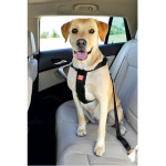 Harnais Securite Xlarge de Zolux - Produit pour animaux dans Harnais pour chien