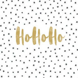 Serviette hohoho noel 33cm de Braun Company - Serviettes et nappes papier dans 🍽️Décoration de table de Noël