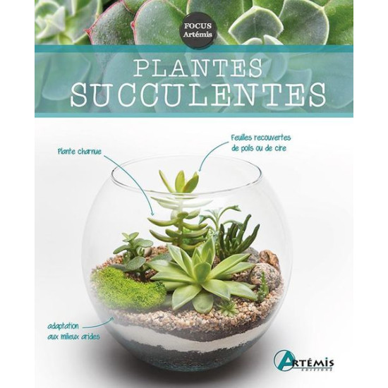 PLANTES SUCCULENTES de Jardinerie Bordeaux Libourne Gironde dans Livres