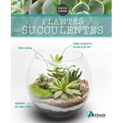 PLANTES SUCCULENTES de Jardinerie Bordeaux Libourne Gironde dans Livres
