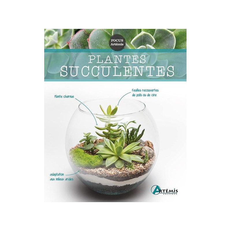 PLANTES SUCCULENTES de Jardinerie Bordeaux Libourne Gironde dans Livres