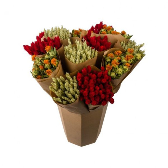 Bouquet fleur séchée orange de Jardinerie Bordeaux Libourne Gironde dans Fleurs séchées