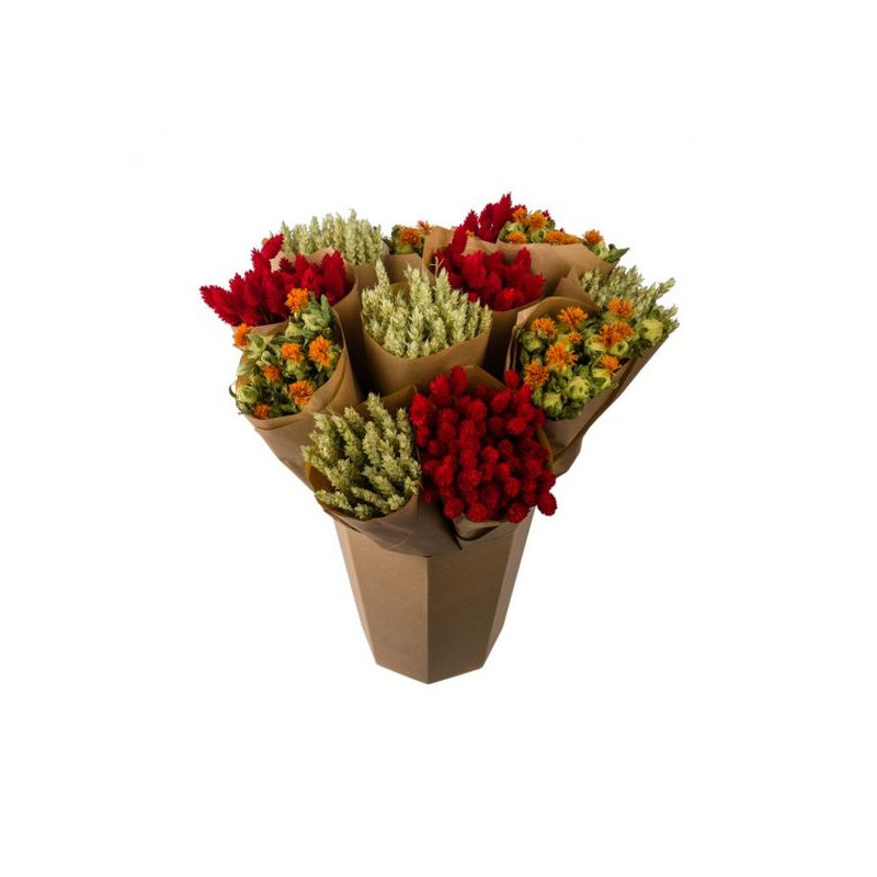 Bouquet fleur séchée orange de Jardinerie Bordeaux Libourne Gironde dans Fleurs séchées