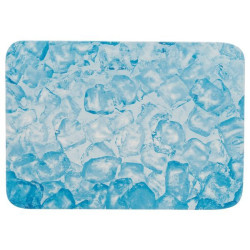 Plateau rafraîchissant lapins 35x25cm bleu de Trixie - Produit pour animaux dans Accessoires pour chiens