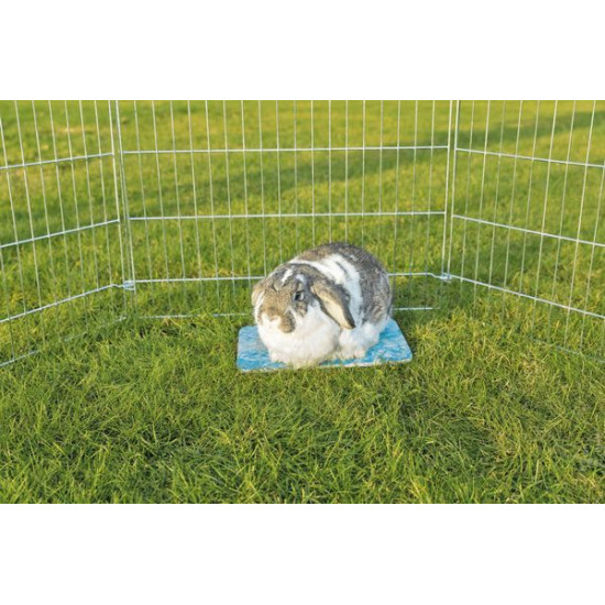 Plateau rafraîchissant lapins 35x25cm bleu de Trixie - Produit pour animaux dans Accessoires pour chiens