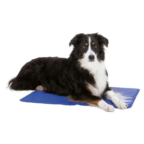 Matelas rafraîchissant l: 65x50cm bleu de Trixie - Produit pour animaux dans Accessoires pour chiens