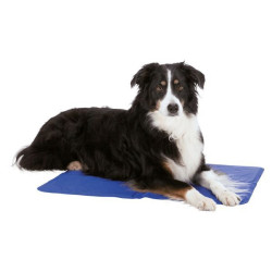 Matelas rafraîchissant l: 65x50cm bleu de Trixie - Produit pour animaux dans Accessoires pour chiens