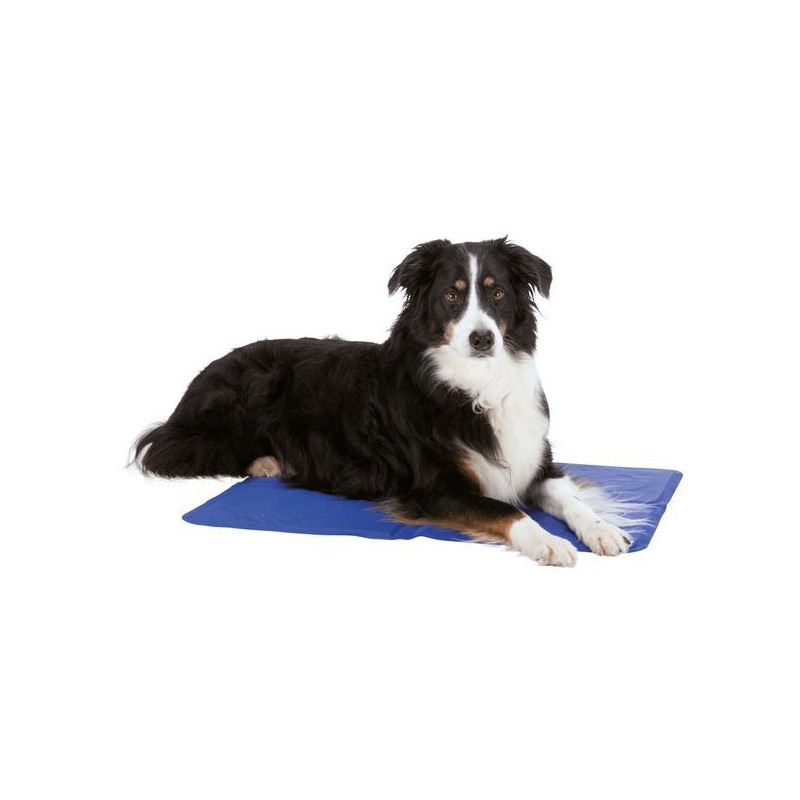 Matelas rafraîchissant l: 65x50cm bleu de Trixie - Produit pour animaux dans Accessoires pour chiens