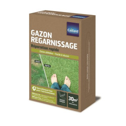 Gazon Regarnissage Caillard 1kg - Rénovez Votre Pelouse Facilement ! de Caillard - Graines dans Graines de Gazon - pelouse