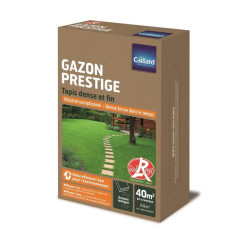 Gazon Prestige Caillard 1kg - Semence de Qualité pour un Jardin Luxueux de Caillard - Graines dans Graines de Gazon - pelouse