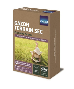 Gazon Caillard 1kg - Spécial Terrain Sec pour un Pelouse Verdoyante de Caillard - Graines dans Graines de Gazon - pelouse