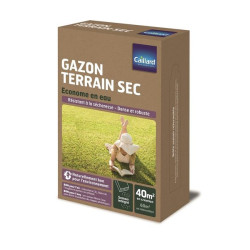 Gazon Caillard 1kg - Spécial Terrain Sec pour un Pelouse Verdoyante de Caillard - Graines dans Graines de Gazon - pelouse