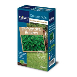 Dichondra Caillard - Gazon Récupérateur 0,25kg pour Jardins Verdoyants de Caillard - Graines dans Graines de Gazon - pelouse