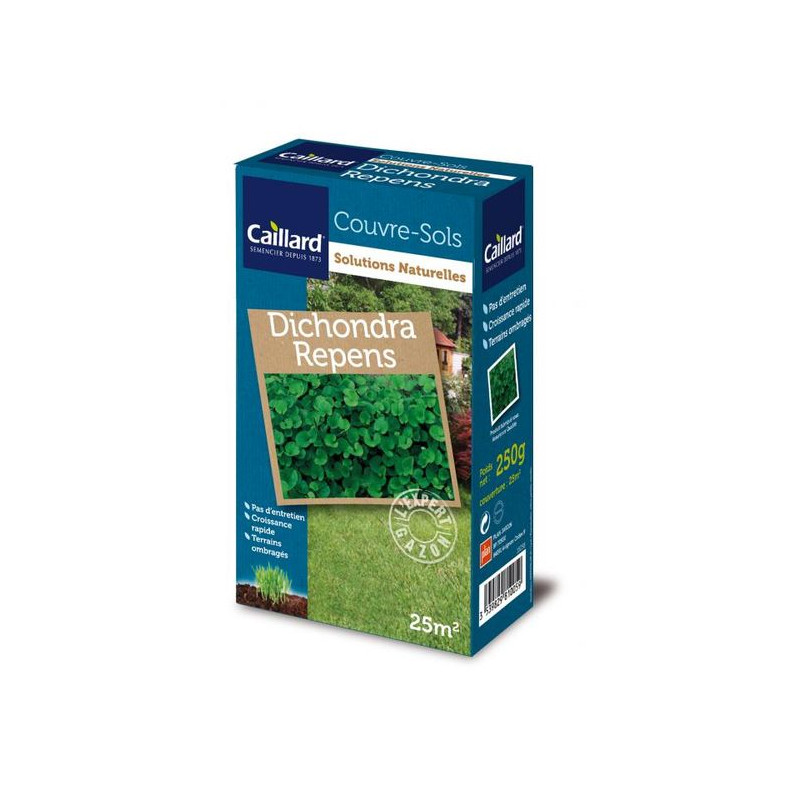 Dichondra Caillard - Gazon Récupérateur 0,25kg pour Jardins Verdoyants de Caillard - Graines dans Graines de Gazon - pelouse