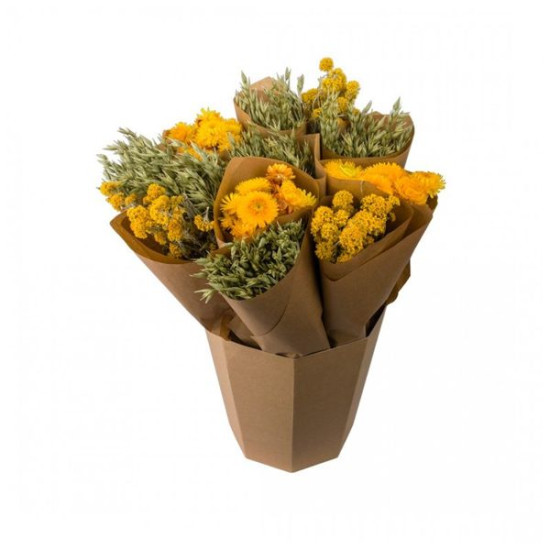 Seau botte jaune de Naturalys dans Fleurs séchées