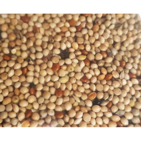 Graines exotique 800gr de Zolux - Produit pour animaux dans Graines pour oiseaux