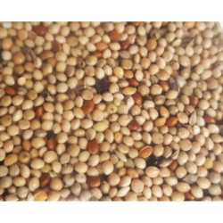 Graines exotique 800gr de Zolux - Produit pour animaux dans Graines pour oiseaux