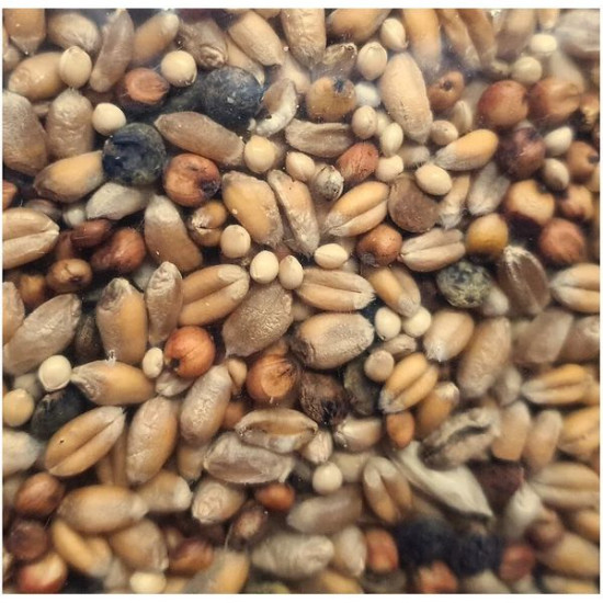 Graines tourterelle 800gr de Zolux - Produit pour animaux dans Alimentation des poules et animaux de basse cour