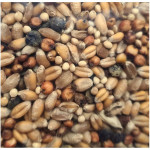 Graines tourterelle 800gr de Zolux - Produit pour animaux dans Alimentation des poules et animaux de basse cour