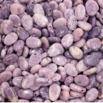 Pendentif pierre percée lepidolite a+ de Camille ambiance nature dans 💎 Bijoux et accessoires ésotériques