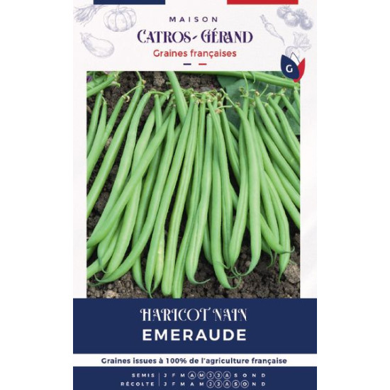 Graines de haricot nain emeraude 150g de Les Doigts Verts - graines de Gironde à Bordeaux dans Graines de Haricot