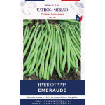 Graines de haricot nain emeraude 150g de Les Doigts Verts - graines de Gironde à Bordeaux dans Graines de Haricot
