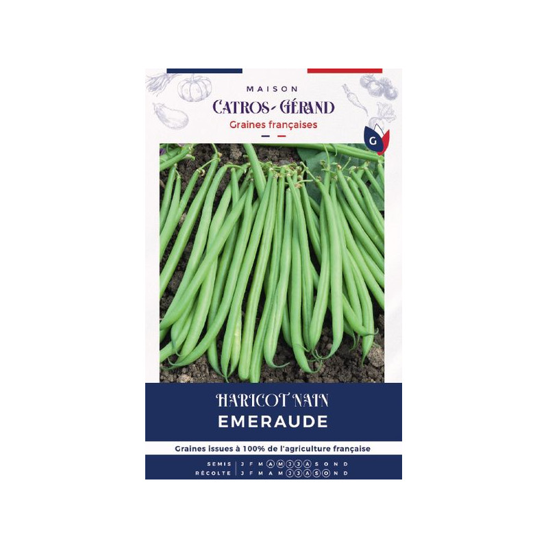 Graines de haricot nain emeraude 150g de Les Doigts Verts - graines de Gironde à Bordeaux dans Graines de Haricot