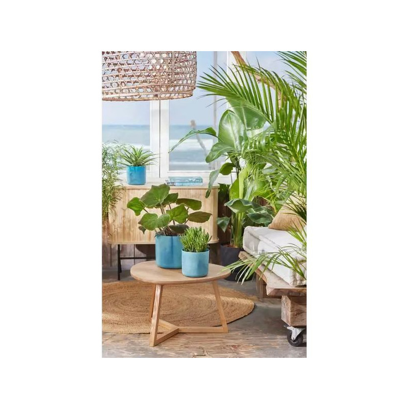 Pot De Fleur Intérieur Elho Ocean Collection - Plastique 100% Recyclé Avec Système D'Irrigation - Vert Pacifique 22.3x20.4 Cm - 2