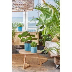 Pot The Ocean Rond 18Cm Bleu -Elho de Elho - Pot en plastique de qualité dans Pots en plastique