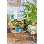Pot The Ocean Rond 18Cm Bleu -Elho de Elho - Pot en plastique de qualité dans Pots en plastique