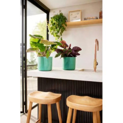 Pot The Ocean Rond 18Cm Vert -Elho de Elho - Pot en plastique de qualité dans Pots en plastique