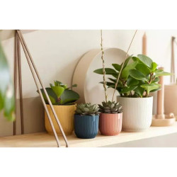 Vibes Fold Rond Mini 11Cm Rose Poudré -Elho de Elho - Pot en plastique de qualité dans Pots en plastique