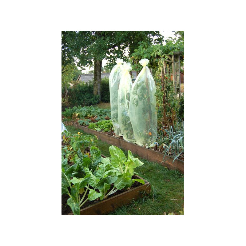 Film Tubulaire Tomates Tenax 0.60x10m Jaune - Protection Culture Tomates - Avec 10 Liens