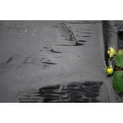Film Paillage Special Fraise 1,40 X 10 M 50µ de Jany France dans Accessoire et produit de paillage