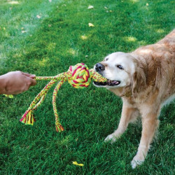 Kong wubba weaves w/rope l - 38.1x8.3x8.3cm de Jouet KONG pour chien dans Jouets pour chiens