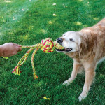 Kong wubba weaves w/rope l - 38.1x8.3x8.3cm de Jouet KONG pour chien dans Jouets pour chiens