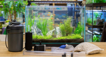 Accessoire aquarium : choisir un mat&eacute;riel adapt&eacute; et facile &agrave; entretenir