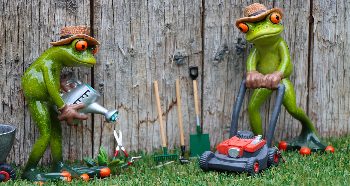 Arrosage pour plantes - Produits et conseils et votre jardinerie